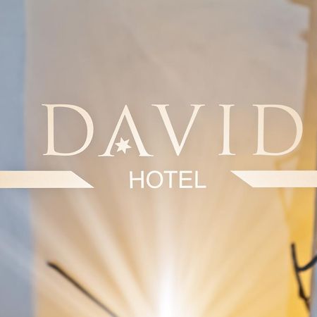 Hotel David an der Donau Regensburg Exteriör bild