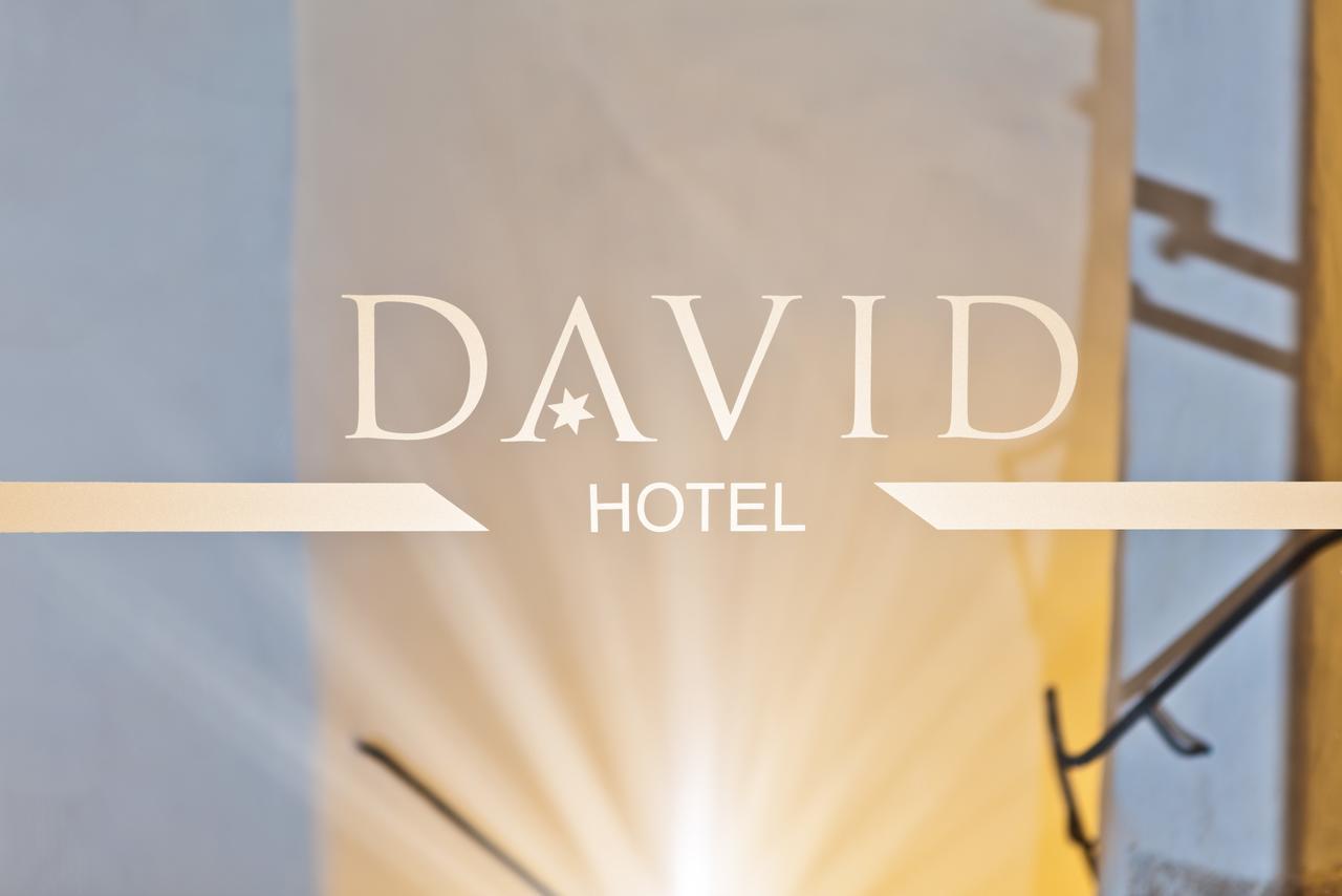 Hotel David an der Donau Regensburg Exteriör bild